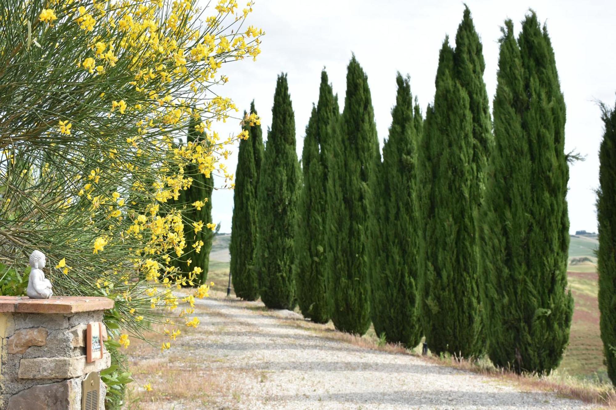 Podere Le Volpaie, Volterra, Tuscany Montecatini Val di Cecina Eksteriør bilde